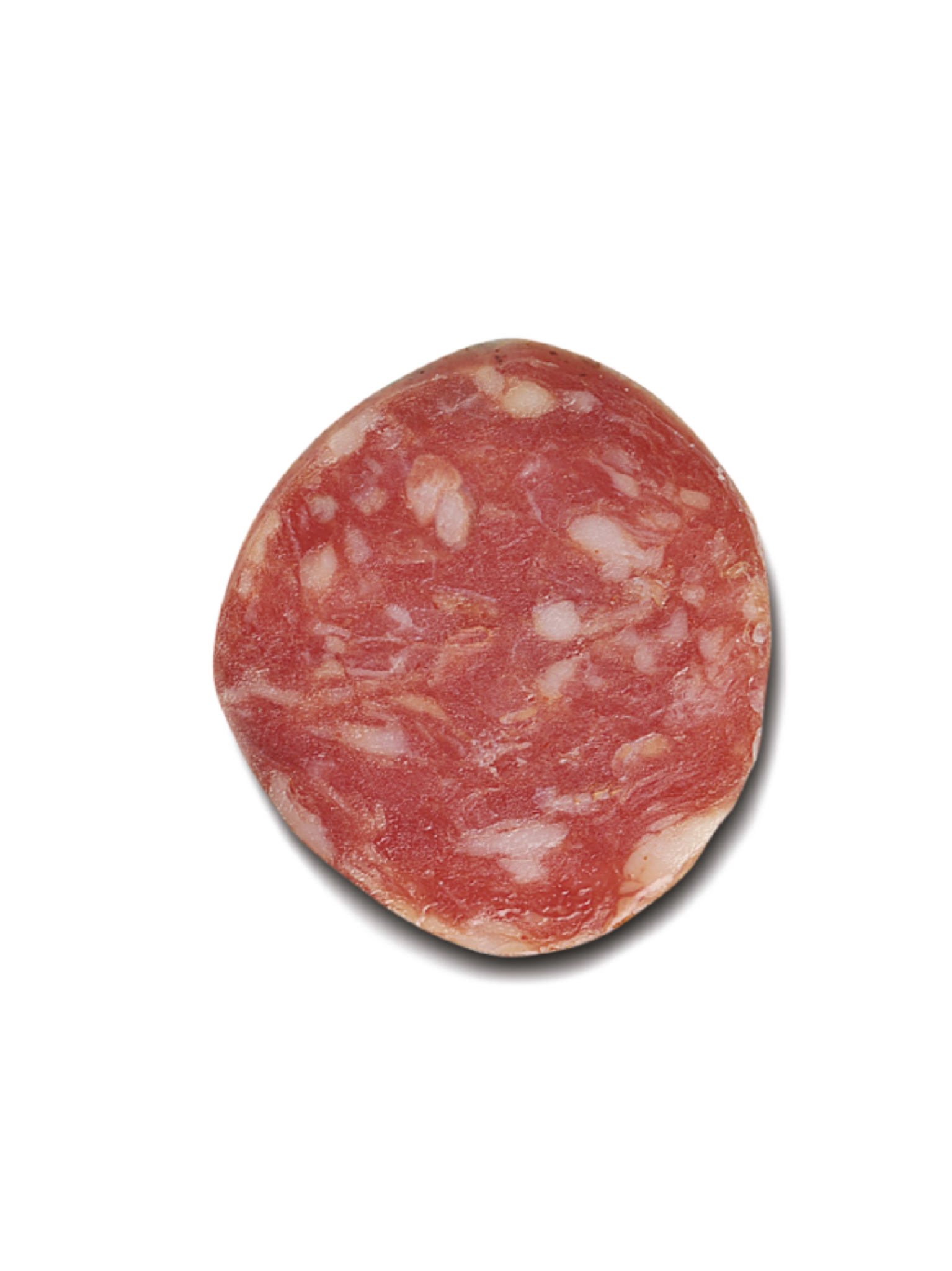 SAUCISSE SECHE NAPOLI FORTE LEVONI